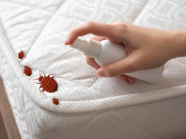 Best Emergency Pest Control  in Sturgeon, PA