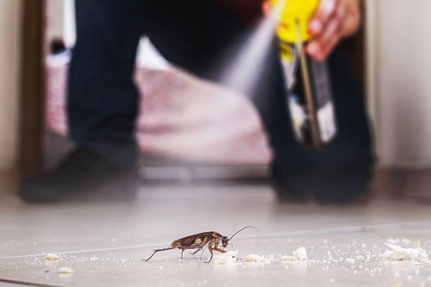 Professional Pest Control in Sturgeon, PA