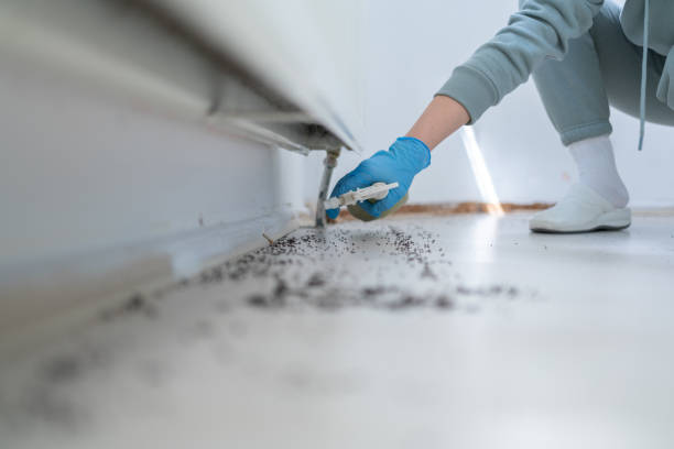 Best Termite Control Services  in Sturgeon, PA